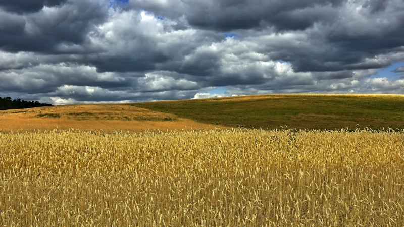 Фото: pixabay.com