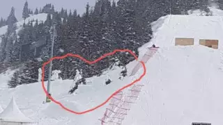 "Шымбұлақта" шыршалар кесілді деген ақпарат: әкімдік жауап берді