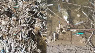 Қапшағайда медициналық қалдықтарды тастағандар іздестіріліп жатыр