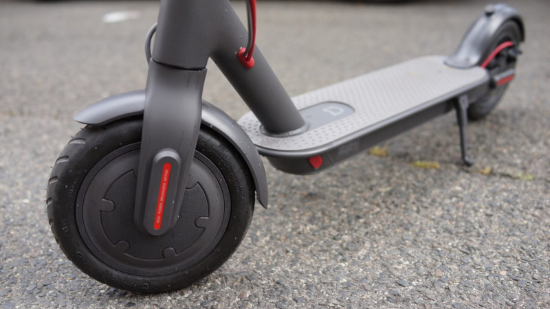 Фото: nvdaily.ru