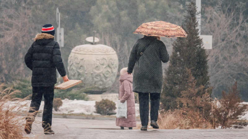 Фото: Әлихан Сариев