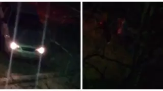 Шымкентте бір топ жігіт алып қашқан қыз табылды