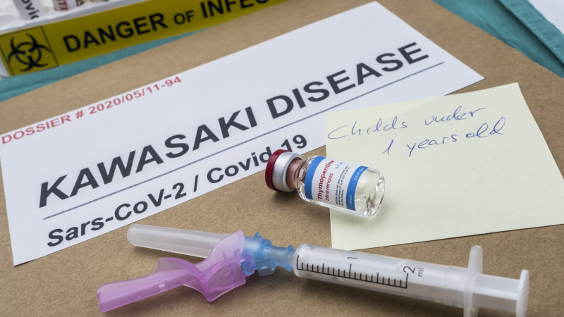 Фото: elements.envato.com