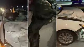 Шымкентте көлік жылқыны соққан: 3 адам қаза тапты