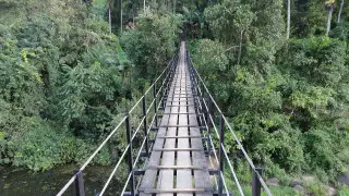 Қазақстандықтар Шри-Ланкаға бару жағынан әлі көшбасында тұр