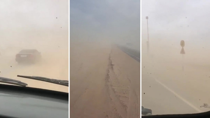 Видеодан алынған