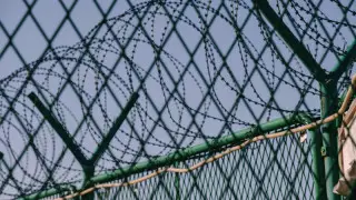 Семейде екі ер адам жалған ПТР-тест анықтамасымен жазасын өтеп жатқан досымен кездеспек болған