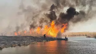 "Балқашқа дейін барады": Алматы облысында коттедждер мен көлік өртеніп кетті