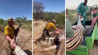 "Қазақтар Африкада аң аулап жүр" - Желіде жантүршігерлік видео тарады