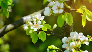 Қазақстанның басым аумағында күн жылиды