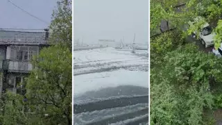 Қазақстанның оңтүстігіне қар жауды: желі қолданушылары видео жариялап жатыр