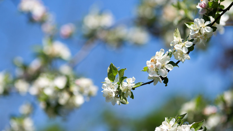 Фото: elements.envato.com