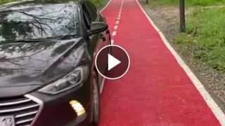 Шымкенттегі дендросаябақта көлікпен жүрген ер адамға айыппұл салынды