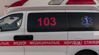 Коронавирус пен пневмониядан тағы 36 адам қайтыс болды