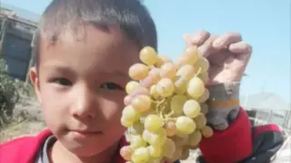 Қызылордада 6 жасар бала іздестіріліп жатыр