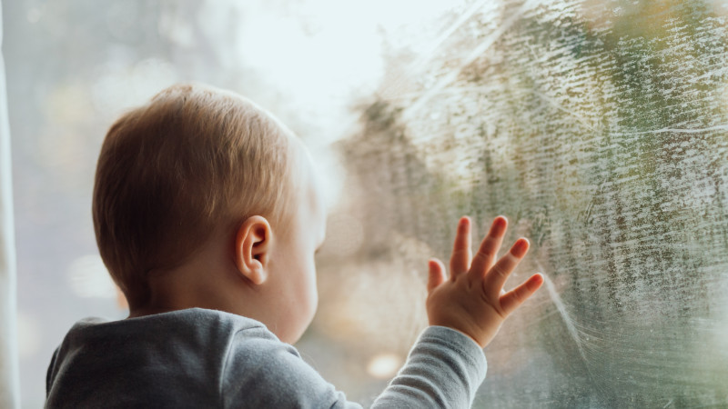 Иллюстрациялық фото: elements.envato.com