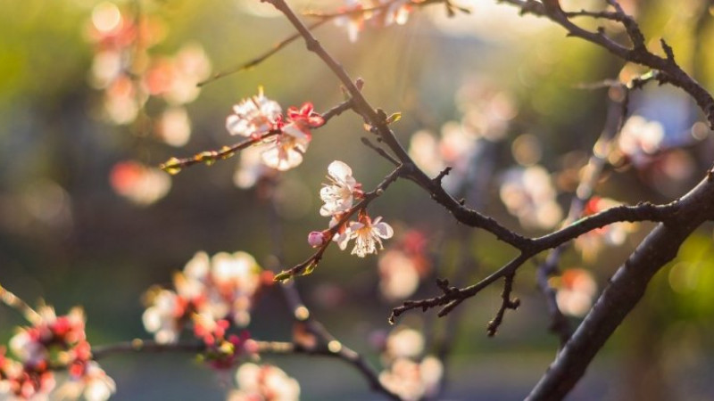 © tengrinews.kz мұрағатынан