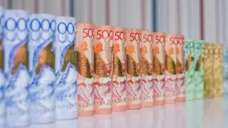 Шенеуніктер өзіне 15 миллиондап сыйақы тағайындап жатыр - мәжілісмен