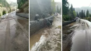 "Шымбұлаққа" баратын жолды су алды