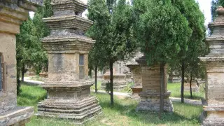 Қытайда қарт туристерді экскурсияның орнына зиратқа апарды