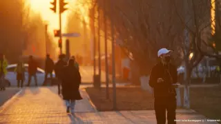 Коронавирус және пневмония: тағы 31 адам қайтыс болды