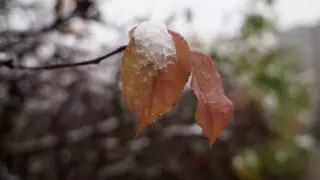 Қазақстанның үш облысында үсік жүреді