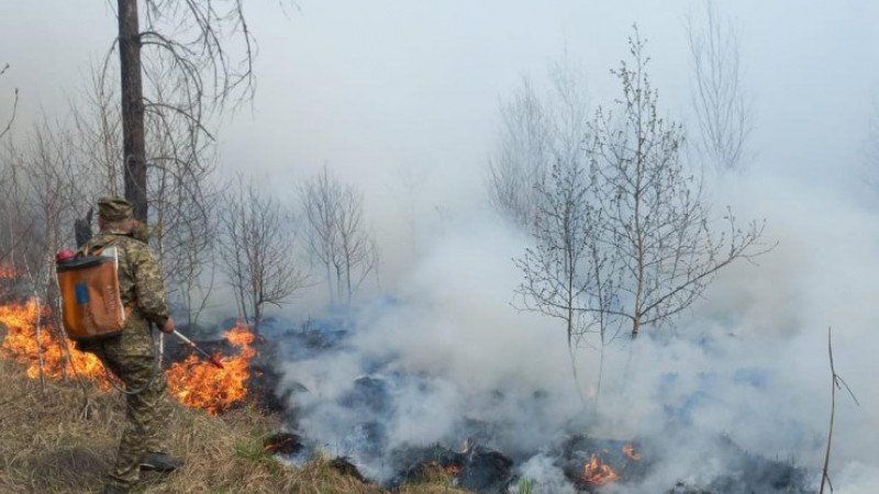 Риддер түбіндегі орман өрті. © ҚР ТЖМ