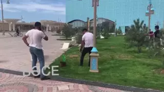 Түркістанда әкімдік "көгалды жасыл түске бояуға" қатысты түсінік берді