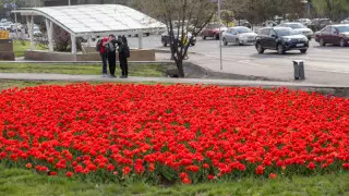 Сәуір айы қазақстандық синоптиктерді таңғалдырды