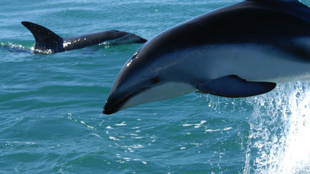 Фото: pixabay.com