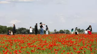 Өткен тәулікте қанша адам коронавирус жұқтырғаны анықталды