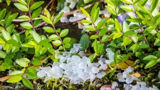 Синоптиктер маусымда ауа райы қандай болатынын айтты