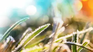 Қазақстанның кей өңірінде күн суытады