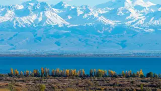 Вакцина салдырған қазақстандықтар Қырғызстанға кірерде ПТР-тестен босатылды