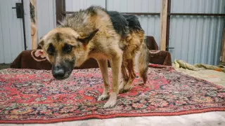 Алматыда үнсіз митинг өтеді