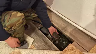 Тоқаевтың тапсырмасынан кейін екі әкім қызметінен босатылды