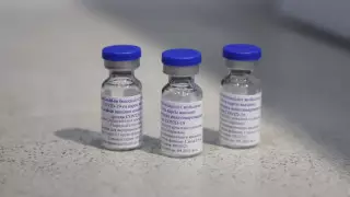 "Құпия жоқ" - Цой QazVac вакцинасы туралы