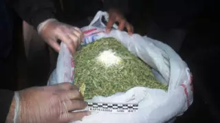 Шу тұрғындарының көлігінен 100 келіге жуық марихуана табылды