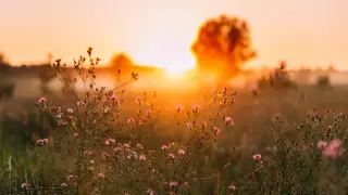 Қазақстанда 42 градусқа дейін аптап болады