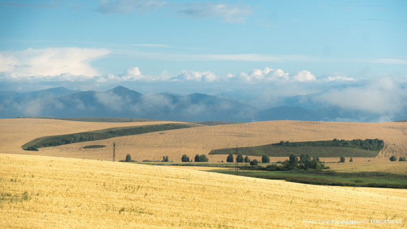 Фото: Tengrinews.kz/Тұрар Қазанғапов