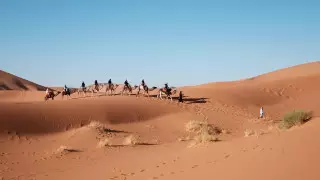 Мысырда аптап ыстыққа қарамастан экскурсия тоқтатылмайды