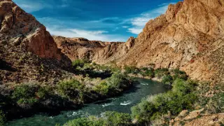 Еркек порно