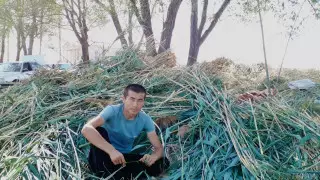 24 жастағы жігіт қуаңшылық басқан өңірлерге шөп жеткізіп жатыр