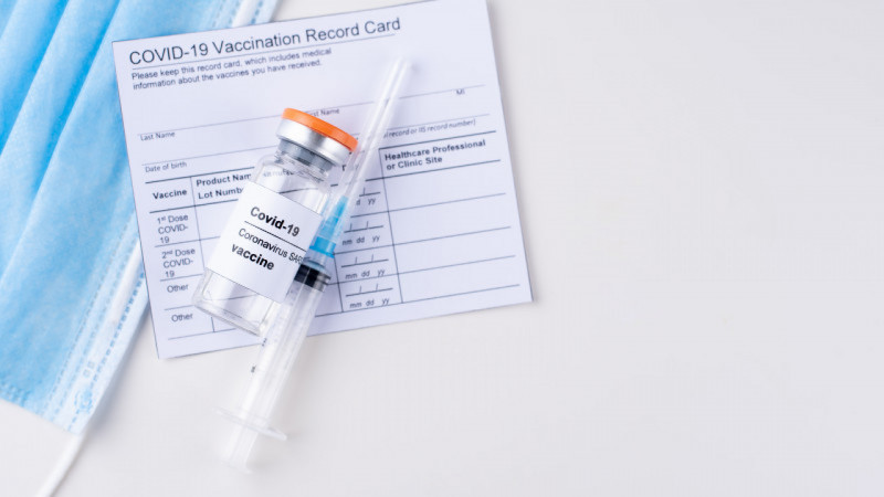 Фото: elements.envato