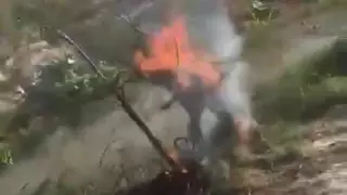 Павлодарда итті өртеп, видеоға түсіргендерге қатысты тексеру басталды