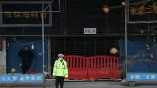 Коронавирусты жасаған біз емес - Ухан вирусология институты