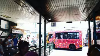 Каприде жол апатынан автобустың 19 жолаушысы зардап шекті, жүргізуші қаза тапты