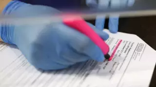 Түркістан облысында жалған анықтама жасаған медбике мен екі тұрғын ұсталды