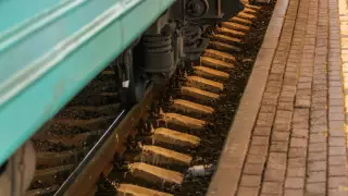 Жамбыл облысында ер адам пойыз бен платформа арасына құлап кетті