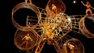 "Өзіңді қолға үйрету". Әлемдегі жануарларсыз жұмыс істейтін 5 цирк жайлы